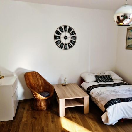 City Centre Apartments Liberec Dış mekan fotoğraf
