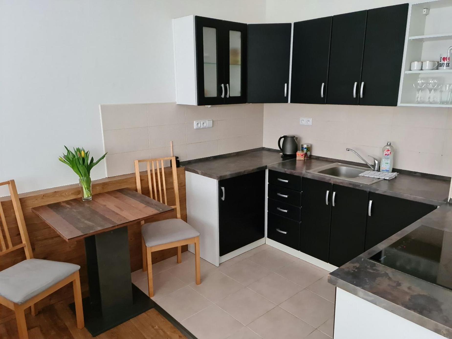 City Centre Apartments Liberec Dış mekan fotoğraf